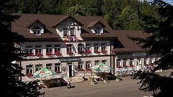 Hotel Seifert Nové Hamry