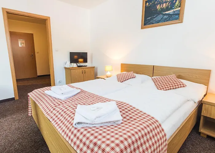 Hotel Seifert Nové Hamry
