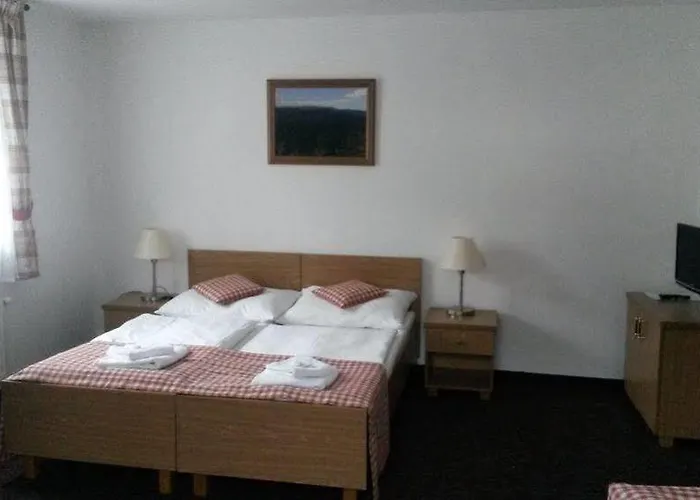 Seifert 3* Нове-Хамри